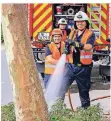  ?? FOTO: SCHÜLLER/STADT MONHEIM ?? Katrin Paikert, David Betzel und Jens Emgenbroic­h bewässern einen Baum.