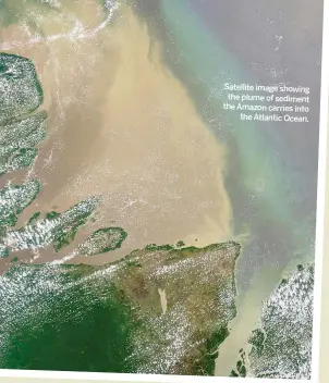  ??  ?? Satellite image showing the plume of sediment the Amazon carries into the Atlantic Ocean.