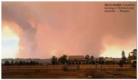  ?? — Reuters ?? Up in smoke: A bushfire burning in Victoria’s east, Australia.