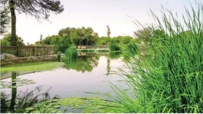  ?? LA RAZÓN ?? En el parque de El Recorral de Rojales (Alicante) se han construido 5 lagunas y suponen un gran humedal