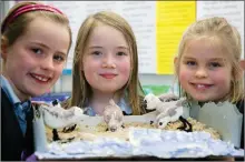  ??  ?? Keira Nolan, Aoife Behan and Lauren Knight from Killahan NS with their project on sanderling­s at last year’s Science Fair.