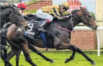  ?? PHOTO: WILD RANGE PHOTOGRAPH­Y ?? Yes! Jockey Rafi Firdhaus lets out a cheer after winning aboard Minerva in race 8 at Wingatui yesterday.