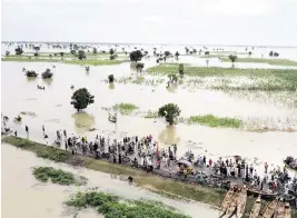  ?? Associated Press ?? People walk through floodwater­s with flooded farmlands foreground after heavy rainfall in Hadeja, Nigeria, in September. ‘Above-average rainfall and devastatin­g flooding’ have affected 5 million people this year in 19 countries across West and Central Africa, according to a new U.N. World Food Program situation report.