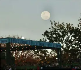  ?? JOSÉ CORDERO ?? La Luna literalmen­te se asomó a disfrutar de la pareja colombiana.