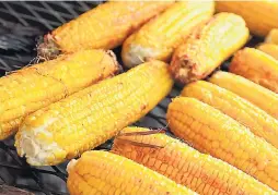  ??  ?? Golden roasted homegrown corn.