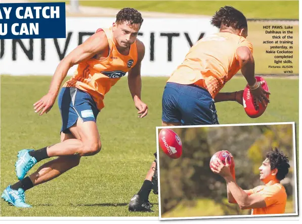  ?? Pictures: ALISON WYND ?? HOT PAWS: Luke Dahlhaus in the thick of the action at training yesterday, as Nakia Cockatoo completed light skills.