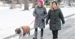  ?? JOE GIBBONS/THE TELEGRAM ?? Wintery conditions don’t slow many pet owners from walking their dogs along city sidewalks and parks, but some dogs can feel the effects of road salt. The salt didn’t seem to bother Charlie, a nine-year-old Brittany spaniel, during a stroll in Bowring Park in St. John’s Monday with owner Marie Smith (left) and her friend, June Murphy.