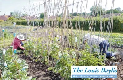  ??  ?? Cookham Community Allotment Project volunteers Janina Woodley and Katy Singeisen.