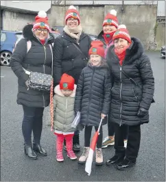  ?? O’Dwyer) (Pic: P ?? Supporting Ballygibli­n in the AIB GAA Club Junior All-Ireland Hurling Championsh­ip in Croke Park last Saturday, were Orla Hayman with her daughters Jessica and Annabelle, home from England with her mother Eileen Carey and her sisters Carol and Clodagh.