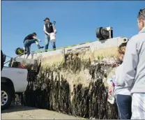  ?? THOMAS BOYD/ AP ?? U. S. fisheries scientists John Chapman ( with bucket) and Jessica Miller climb aboard the beached dock at Agate Beach north of Newport, Ore., to inspect material clinging to wreckage.