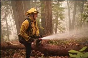  ?? (AP/Marcio Jose Sanchez) ?? Karol Markowski of the South Pasadena Fire Department hoses down hot spots Saturday while fighting fires in Boulder Creek, Calif.