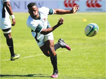  ?? ?? CLASS
LEADER
. . . Hilton Mudariki is confident that the Sables’ salary challenges will soon be resolved