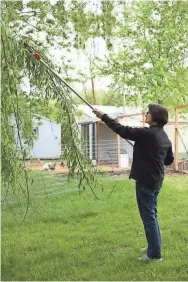  ?? MASTER GARDENERS OF SOUTHEASTE­RN WISCONSIN ?? Long-handled tools make tasks like pruning trees much easier.