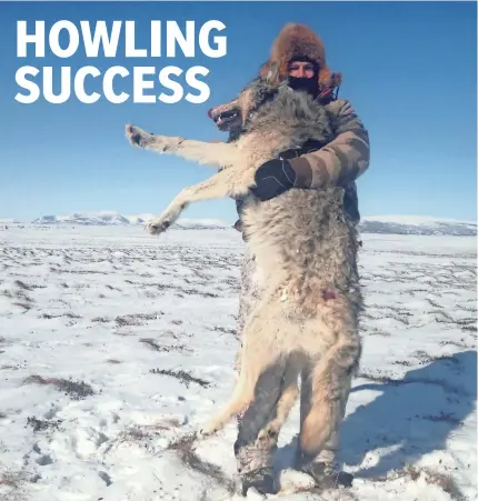  ?? PHOTO VIA VANDER ESCH ?? Cowboys rookie linebacker Leighton Vander Esch holds a wolf on one of his hunting trips.