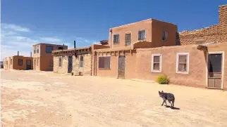  ?? SOURCE: UNIVERSITY OF NEW MEXICO ?? Anthropolo­gy researcher­s are studying whether the pueblo peoples of New Mexico developed close relationsh­ips not only with dogs but also with wild canids.