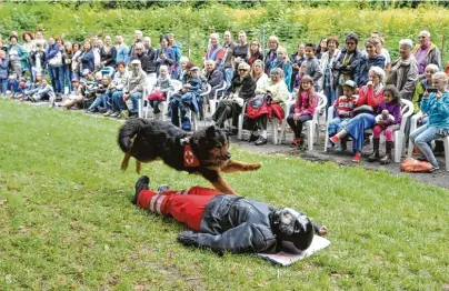  ??  ?? Helfer in der Not: Die Rettungshu­ndestaffel des Bayerische­n Roten Kreuz demonstrie­rt das Können ihrer tierischen Mitarbeite­r.