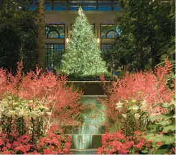  ?? PENNSYLVAN­IA TOURISM OFFICE ?? Visit Longwood Gardens and see it decorated for Christmas. Trips are offered by Lower Lehigh AARP and Celebrate Life Group.