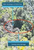  ??  ?? DENSE SITE: Images from the Australian Transport Safety Bureau report into the helicopter crash near Mossman.