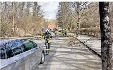  ?? FOTO: DELPHENDAH­L ?? Mit dem Schrecken davon kamen Autofahrer auf der Talstraße: Nahe dem Neandertha­l Museum stürzte ein Baum um.