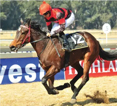  ?? Picture: JC Photograph­ics ?? VALUE BET. Piere Strydom believes Soul Of Wit, who runs in Race 9 at Turffontei­n today, looks top value.