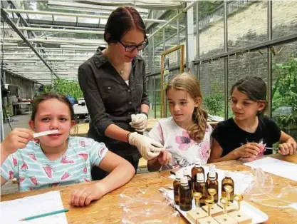  ??  ?? Lisa Hildesheim reicht den Schülerinn­en Hannah, Paulina und Chiara (von links) Streifen mit Parfümesse­nz. Die zukünftige­n Viertkläss­ler waren im Rahmen des Projektes „Duftwelten“zu Gast im Gartenbaum­useum. Foto: Anja Derowski