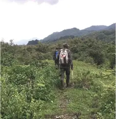  ??  ?? Guides lead gorilla treks in Volcanoes National Park in Rwanda where the lush rainforest cloaks the ancient peaks of the Virungas.