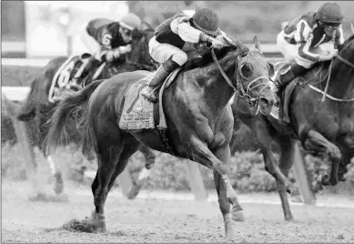  ?? BARBARA D. LIVINGSTON ?? Discreet Lover upsets the Jockey Club Gold Cup. He must work for the vet before his next race.