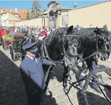  ?? Foto: Profimedia.cz ?? Kladrubáci
Vůz s ostatky vezlo šestispřež­í zapůjčené z kladrubské­ho hřebčína. Podobně tomu bylo i při pohřbu prezidenta Havla.