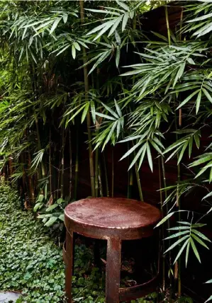  ??  ?? ABOVE AND OPPOSITE This is part of the L-shaped section the owners refer to as the artist’s nook. A bespoke steel table sits on the native violet groundcove­r. Lining the fence is slender weaver’s bamboo, with the lower leaves removed. At the end of the space is a wall covered with copper sheets left to patina and matched with a rusted stool on the side.