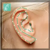  ??  ?? Creative’s app contour-maps your ears and face to analyze how your ears hear sound.