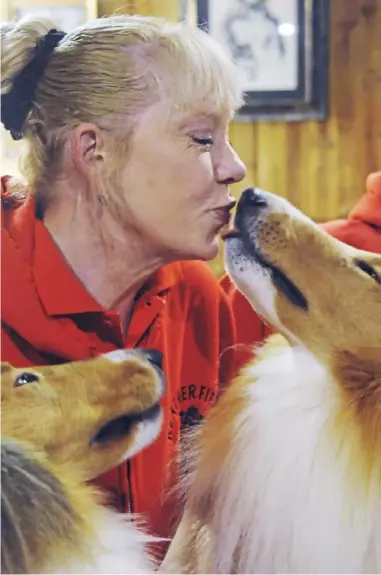  ?? Lake Fong/Post-Gazette ?? Heather Luster, owner of Heatherfie­ld Collies, gets a kiss from Cotton as his sister, Legacy, looks on.