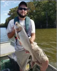  ?? Submitted photo ?? Data on current fish assemblage­s in the lakes in the lower White River was collected using experiment­al gill nets, mini-fyke nets and boat electrofis­hing. Joseph Kaiser, UAPB alumnus of aquacultur­e and fisheries, catches a silver carp during an assessment.