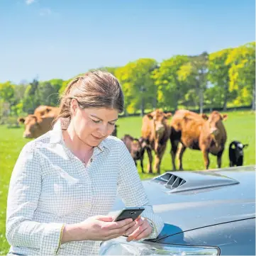  ??  ?? LIVE UPDATES: The app technology allows farmers to share livestock info with vets.