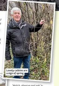  ??  ?? Lovely catkins are a sign of spring