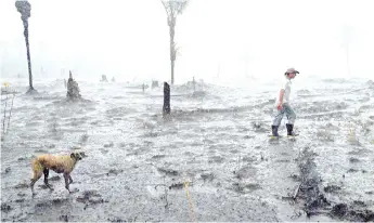  ?? — AFP file photo ?? Brazilian farmer Helio Lombardo Do Santos and a dog walk through a burnt area of the Amazon rainforest, near Porto Velho, Rondonia state.