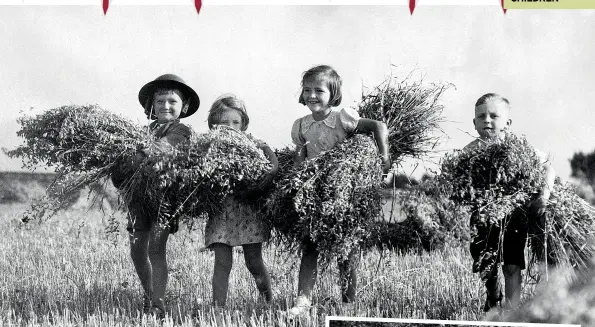  ??  ?? ABOVE Evacuees from London help a farmer in Gleaning, near Bristol, to bring in the harvest