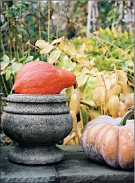  ?? JOHN DOLAN/MARTHA STEWART LIVING VIA AP ?? This undated photo provided by Martha Stewart Living shows an urn surrounded by some pumpkins, giving it a Halloween theme.