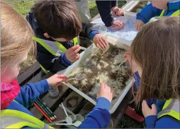  ?? ?? River sampling by Gala Water And the River Tweed. Image: Kerry Jones