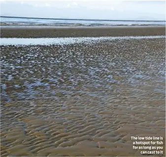  ??  ?? The low tide line is a hotspot for fish for as long as you can cast to it