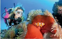  ?? PHOTO: FAIRFAX ?? A rescue package for the Great Barrier Reef includes millions of dollars for research into how to restore damaged coral.