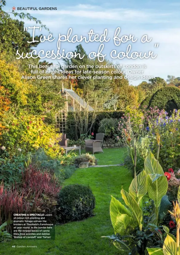  ??  ?? CREATING A SPECTACLE Layers of colour-rich planting and dramatic foliage enliven the borders at Theobald’s Farmhouse all year round. In the border here are the striped leaves of canna lilies, blue aconites and dahlias ‘Bishop of Llandaff’ and ‘Tartan’