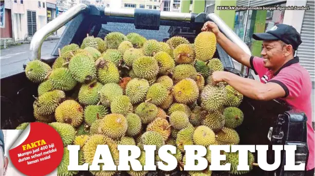  ??  ?? BEKALAN durian semakin banyak diperoleh Zamberi.