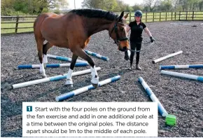  ??  ?? Start with the four poles on the ground from the fan exercise and add in one additional pole at a time between the original poles. The distance apart should be 1m to the middle of each pole.