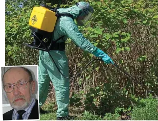  ??  ?? Fight-back: Wearing a bio-hazard suit to tackle knotweed. Inset: Alan Lay