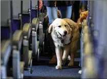  ?? ASSOCIATED PRESS 2017 ?? A service dog strolls through the aisle inside a United Airlines plane at Newark Liberty Internatio­nal Airport in April.