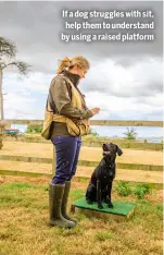  ?? ?? If a dog struggles with sit, help them to understand by using a raised platform