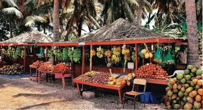  ??  ?? After visiting Taqah to see tonnes of fish drying on the sand, stop by at Al Baleed to sample bananas and coconuts, after which you can head to the resort for a delicious meal