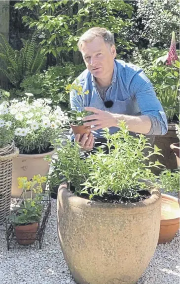  ?? ?? Chris Beardshaw is teaching the art of container gardening, main; allotment work at RHS Garden Rosemoor, above left; learn about growing herbs at RHS Garden Bridgewate­r, right