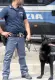  ??  ?? Cani antidroga Al blitz hanno partecipat­o anche le unità cinofile della polizia