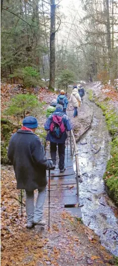  ?? Fotos: Gerlinde Drexler ?? Der Weg, der die Gruppe am Silberbrün­nl vorbeiführ­te, steht mit seinen unterschie­d lichen Herausford­erungen für die Bewältigun­g der Trauer.